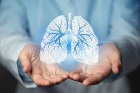 The Importance of Lung Health – Tips and Insights From a Lungs Hospital Expert