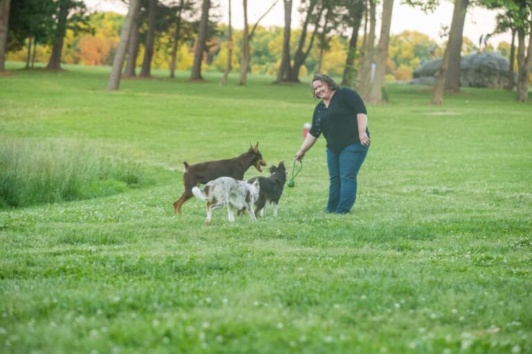 Unleashing Success Finding the Best Dog Trainer in Charlotte, NC
